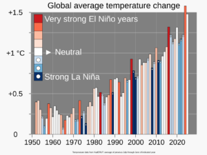 El Niño emerge en el Pacífico, aumentando los riesgos de calor